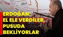 Erdoğan: El ele verdiler, pusuda bekliyorlar