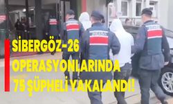 Sibergöz-26 operasyonlarında 75 şüpheli yakalandı