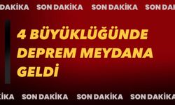 Muğla’da 4 büyüklüğünde deprem