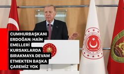 Cumhurbaşkanı Erdoğan: Hain emelleri kursaklarda bırakmaya devam etmekten başka çaremiz yok