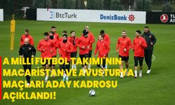 A Milli Futbol Takımı'nın Macaristan ve Avusturya maçları aday kadrosu açıklandı!