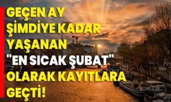 Geçen ay şimdiye kadar yaşanan "en sıcak şubat" olarak kayıtlara geçti!