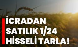 İcradan satılık 1/24 hisseli tarla!