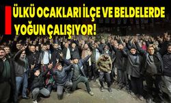 Ülkü Ocakları ilçe ve beldelerde yoğun çalışıyor!