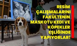 Resim çalışmalarını fakültenin maskotu kedi ve köpekler eşliğinde yapıyorlar!