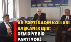 AK Partili Keşir: DEM diye bir parti yok!