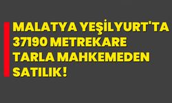 Malatya Yeşilyurt'ta 37190 metrekare tarla mahkemeden satılık!