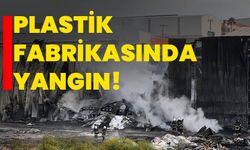 Adana'da plastik fabrikasında yangın çıktı!