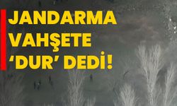 Jandarma vahşete ‘dur’ dedi!