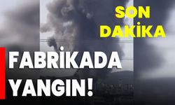 SON DAKİKA: Tuzla’da korkutan fabrika yangını