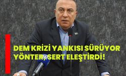 DEM krizi yankısı sürüyor: Yönter, sert eleştirdi!