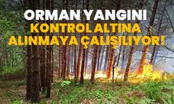 Kastamonu'da çıkan orman yangını kontrol altına alınmaya çalışılıyor!