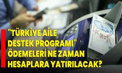 "Türkiye Aile Destek Programı" ödemeleri ne zaman hesaplara yatırılacak?
