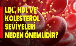 LDL, HDL ve Kolesterol Seviyeleri Neden Önemlidir?