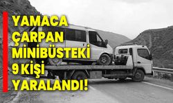 Yamaca çarpan minibüsteki 9 kişi yaralandı