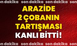 Arazide 2 çobanın tartışması kanlı bitti!