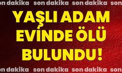 Yaşlı adam evinde ölü bulundu