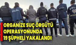 Organize suç örgütü operasyonunda 19 şüpheli yakalandı