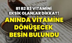 B1 B2 B3 vitamini eksik olanlar DİKKAT! Anında vitamine dönüşecek besin bulundu