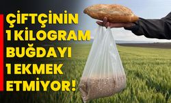 Çiftçinin 1 kilogram buğdayı 1 ekmek etmiyor!