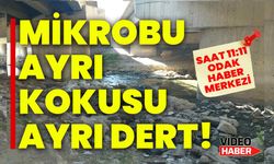 MİKROBU AYRI KOKUSU AYRI DERT!