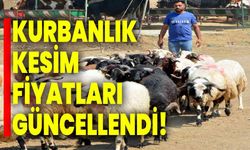 Kurbanlık kesim fiyatları güncellendi!