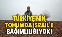 Türkiye'nin tohumda İsrail'e bağımlılığı yok