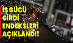 İş gücü girdi endeksleri açıklandı!