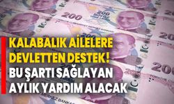 Kalabalık ailelere devletten destek! Bu şartı sağlayan aylık yardım alacak