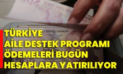 Türkiye Aile Destek Programı ödemeleri bugün hesaplara yatırılıyor