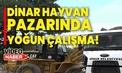 Dinar Hayvan Pazarında Yoğun Çalışma!