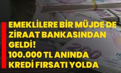 Emeklilere bir müjde de Ziraat Bankasından geldi! 100.000 TL anında kredi fırsatı yolda