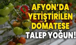 Afyonkarahisar’da yetiştirilen domatese talep yoğun!
