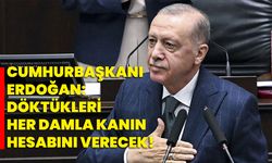 Cumhurbaşkanı Erdoğan: Döktükleri her damla kanın hesabını verecek!