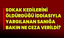 Sokak kedilerini öldürdüğü iddiasıyla yargılanan sanığa bakın ne ceza verildi?