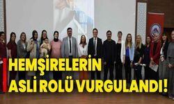 Hemşirelerin Asli Rolü Vurgulandı!