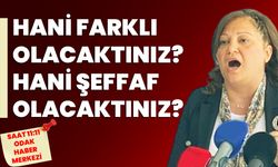 Hani farklı olacaktınız? Hani şeffaf olacaktınız?