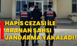 Hapis cezası ile aranan şahsı jandarma yakaladı!