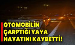 Otomobilin çarptığı yaya hayatını kaybetti!