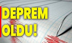 Pasifik Okyanusu'nda 6,6 Büyüklüğünde Deprem!