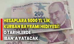 Hesaplara 5000 TL’lik kurban bayramı hediyesi! O tarihlerde IBAN’a yatacak