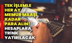 Tek işlemle her ay memur maaşı kadar para alın! Hesaplara trink yatırılacak