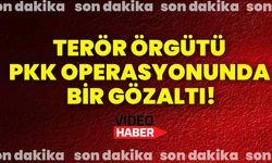 Terör örgütü PKK operasyonunda bir gözaltı!