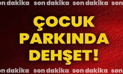 Çocuk Parkında Dehşet!