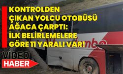 Kontrolden çıkan yolcu otobüsü ağaca çarptı: İlk belirlemelere göre 11 yaralı var!