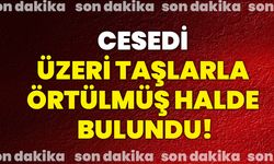 Cesedi üzeri taşlarla örtülmüş halde bulundu!