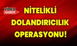 Nitelikli dolandırıcılık operasyonu!