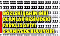 Gözleri şahin gibi olanlar resimdeki farklı sayıyı 5 saniyede buluyor!