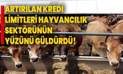 Artırılan kredi limitleri hayvancılık sektörünün yüzünü güldürdü!