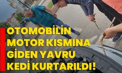 Otomobilin motor kısmına giden yavru kedi kurtarıldı